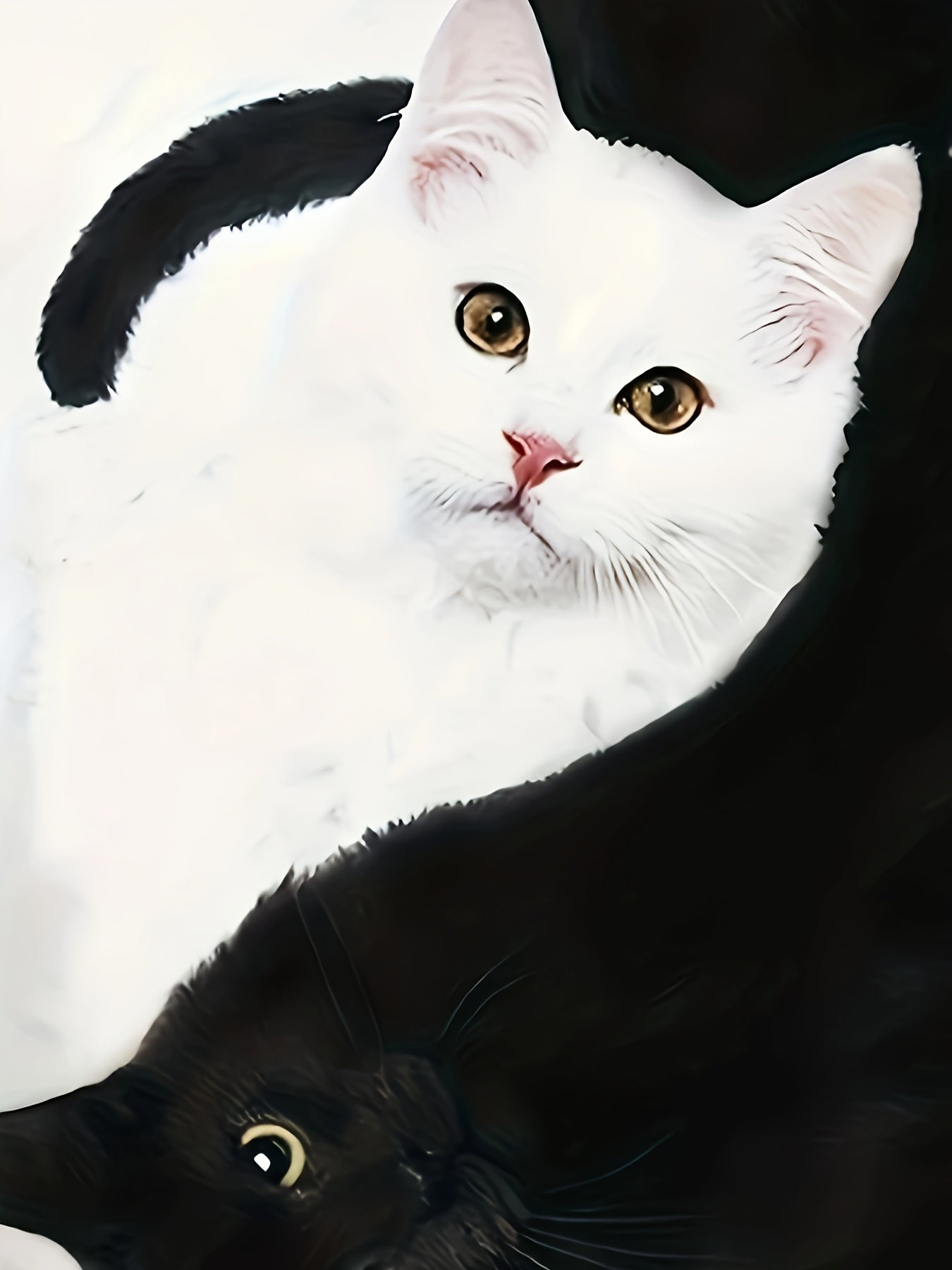 Katzenmotiv T-Shirt mit modernen Farbblöcken – Marit